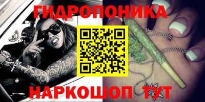 гашик Обнинск