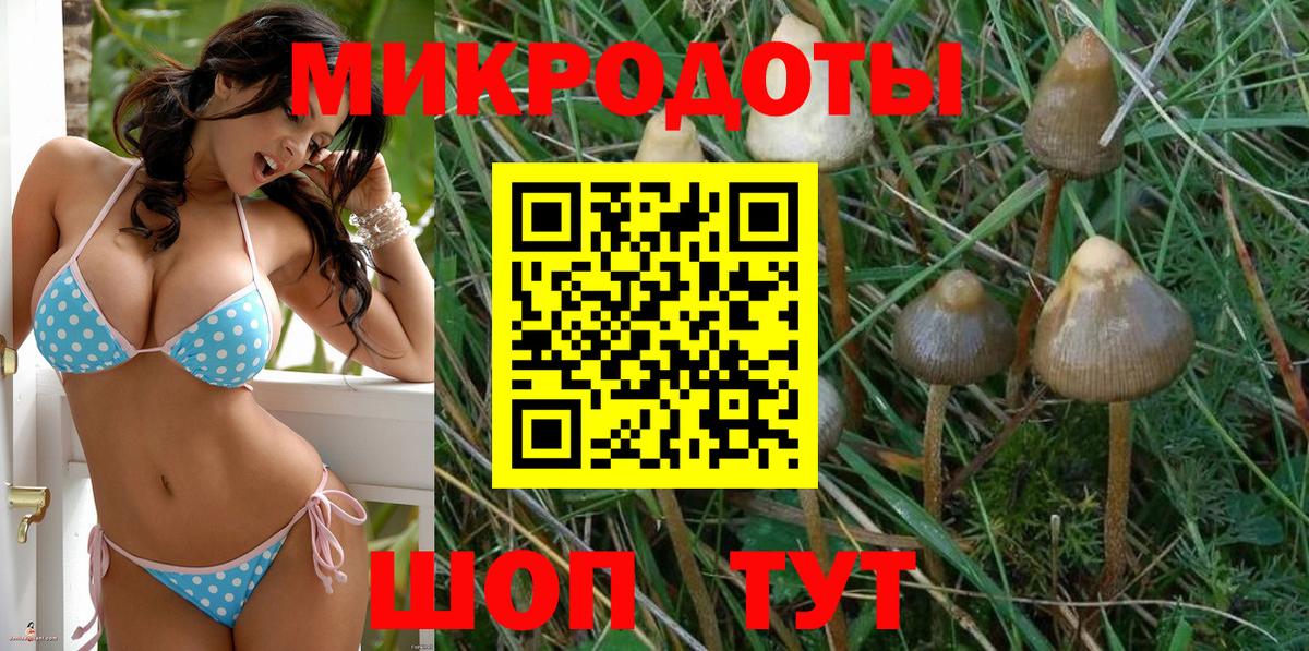 Сызрань  Псилоцибиновые грибы Psilocybe  Вход с VPN 