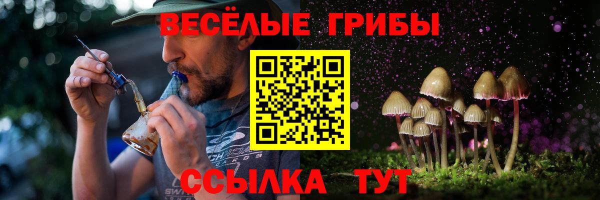 Псилоцибиновые грибы GOLDEN TEACHER Сызрань